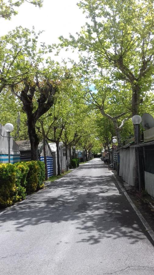 Camping Calatella Parco Di Vacanza Marina di Massa Zewnętrze zdjęcie