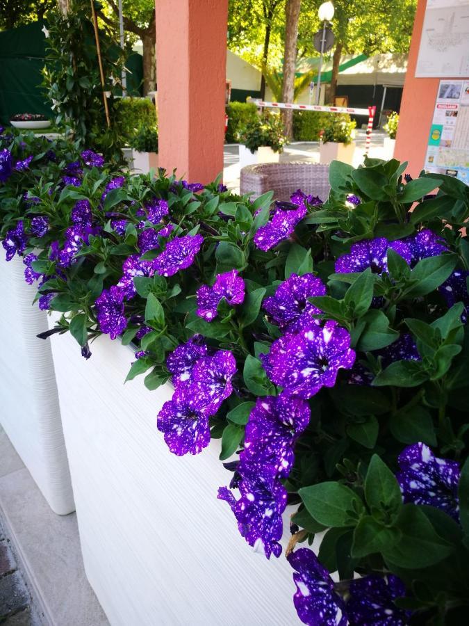 Camping Calatella Parco Di Vacanza Marina di Massa Zewnętrze zdjęcie